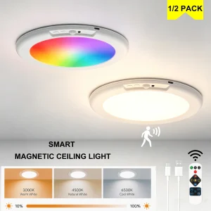 Rechargeable Motion Sensor Ceiling Light with Remote